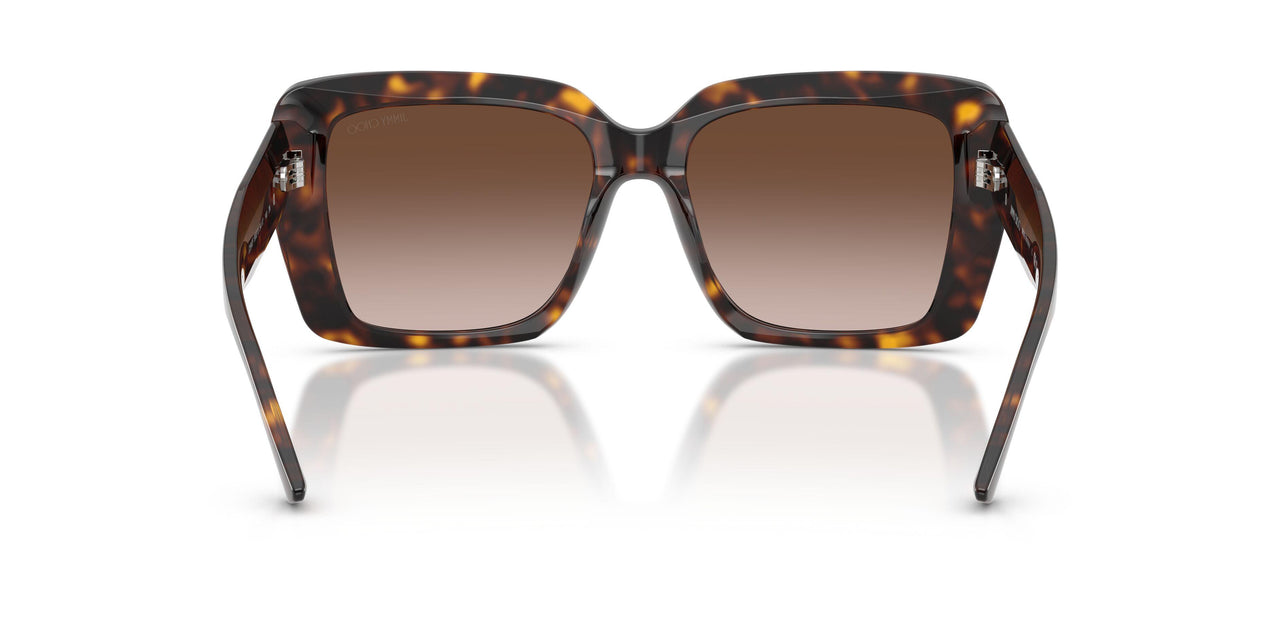 500213 - Tortoise - Brown Gradient
