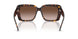 500213 - Tortoise - Brown Gradient