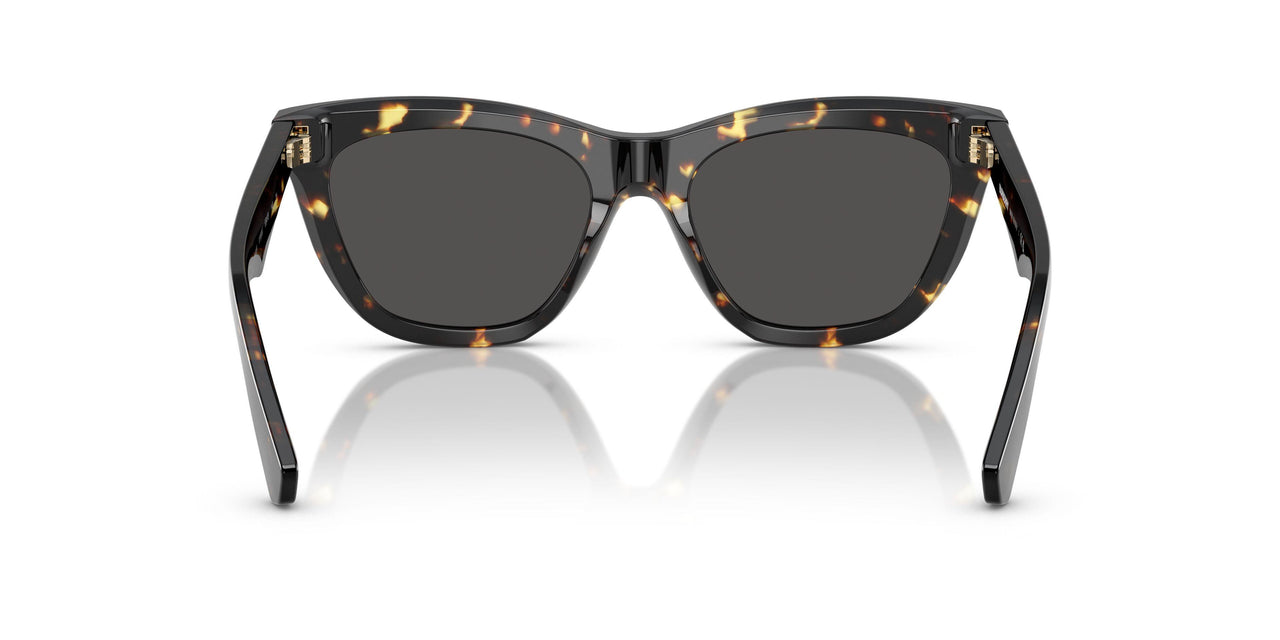 410687 - Tortoise - Dark Grey