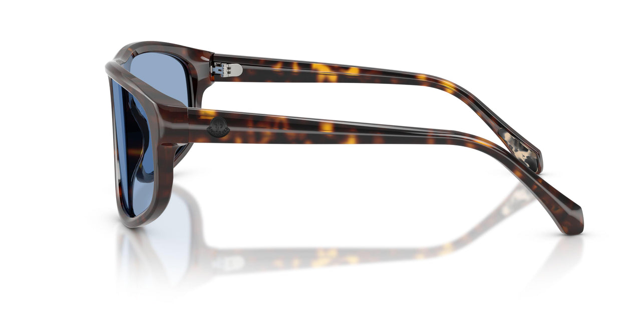 300280 - Tortoise - Solid Blue