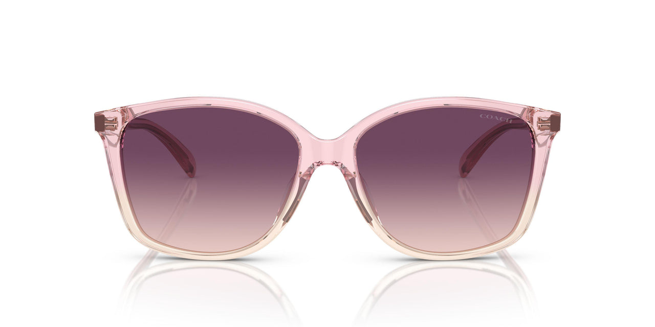 57387W - Pink - Purple Pink Gradient