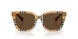416373 - Brown - Dark Brown