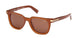 ZEGNA 0248 Sunglasses