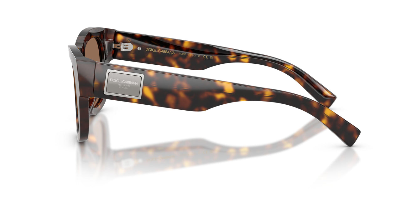 502/73 - Tortoise - Dark Brown
