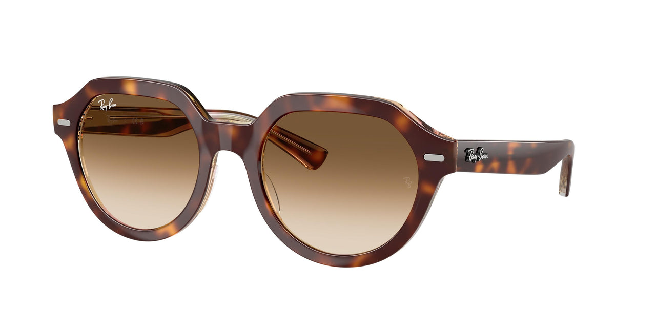 Ray-Ban Gina 4399 Sunglasses