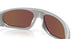 952807 - Grey - Prizm Deep Water Polarized