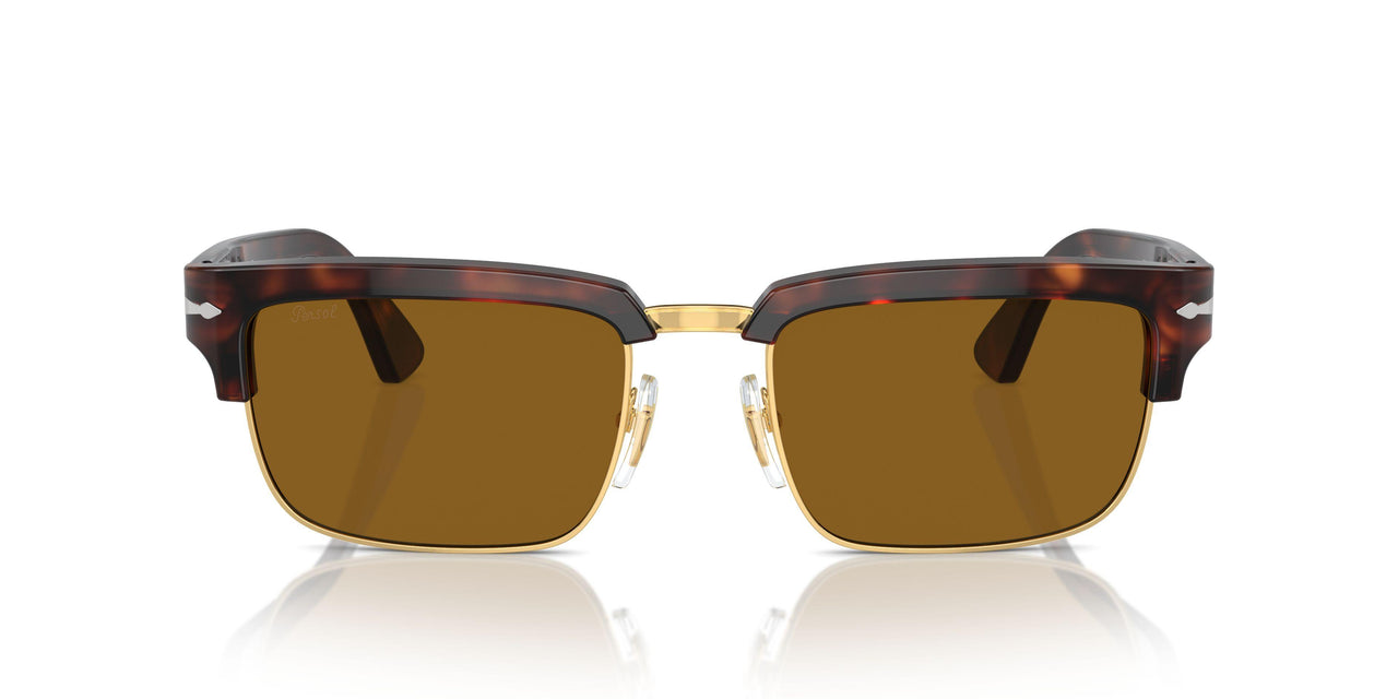 24/33 - Tortoise - Brown