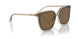 299873 - Brown - Dark Brown