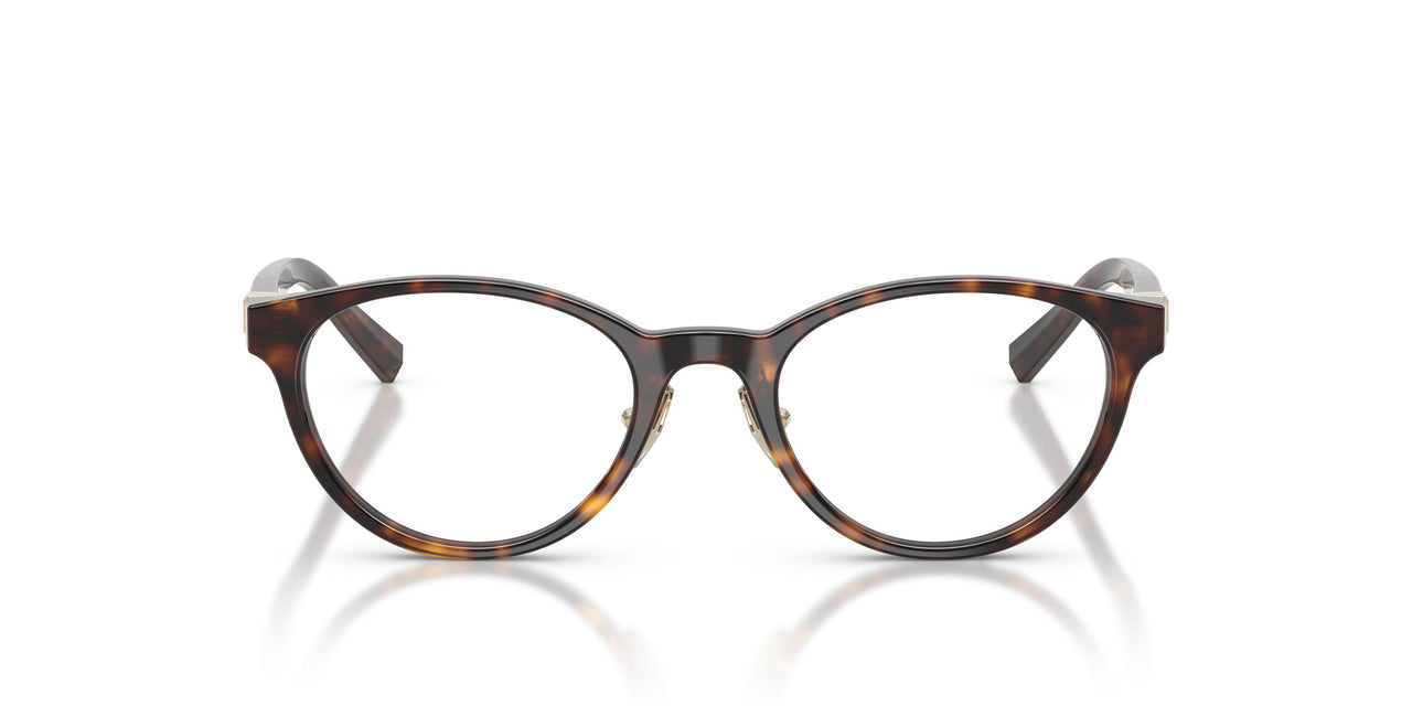 8015 - Tortoise