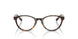 8015 - Tortoise