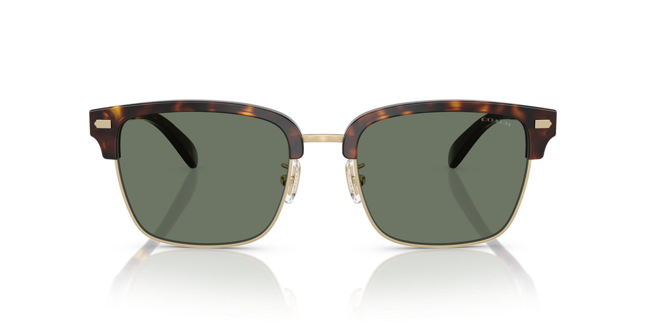 51203H - Gold - Green Solid