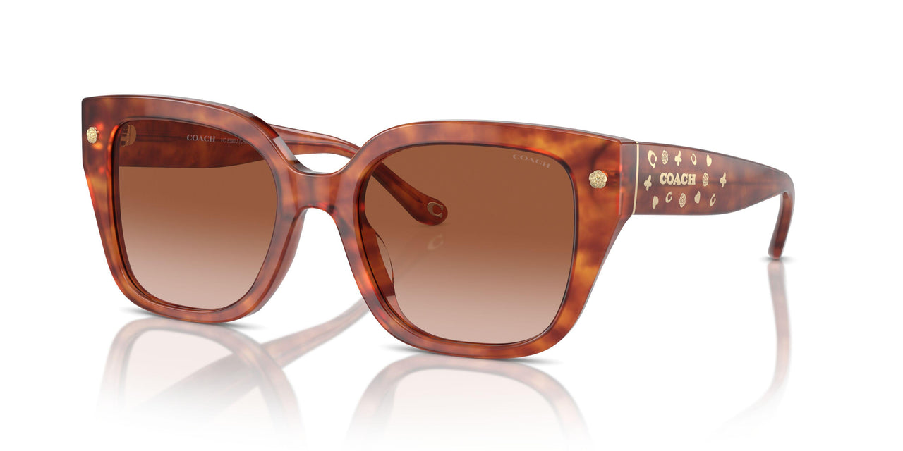 577413 - Tortoise - Brown Gradient
