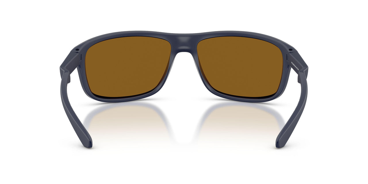 276283 - Blue - Polarized Brown