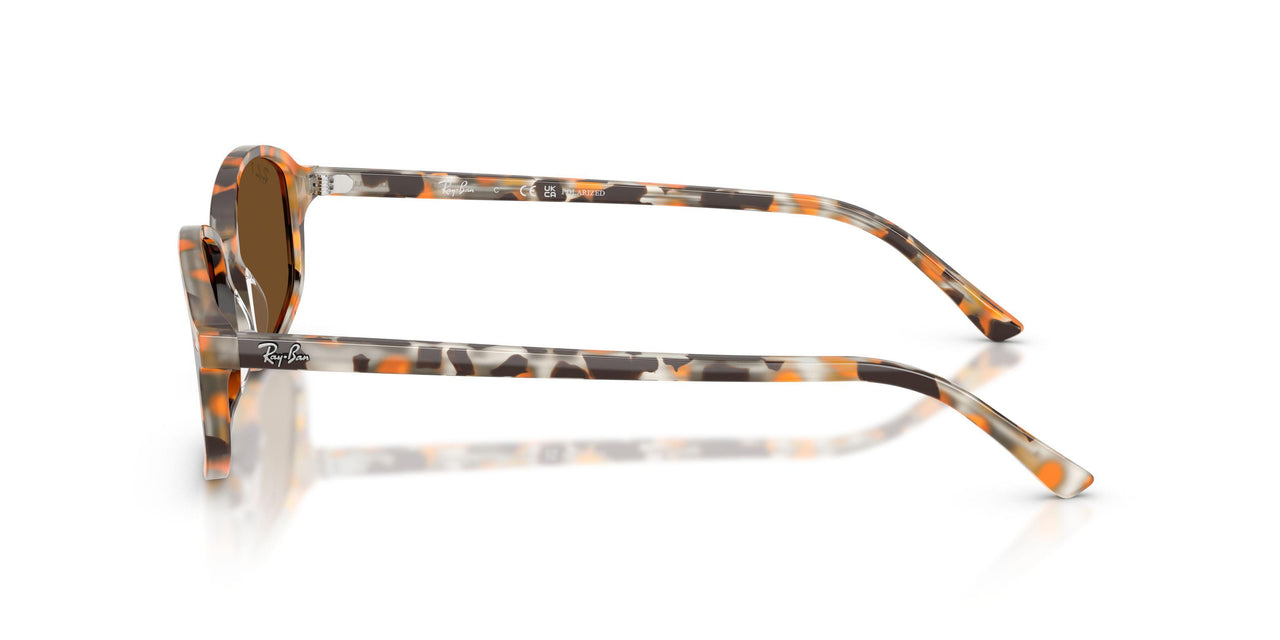 135757 - Brown - Brown Polarized