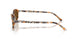 135757 - Brown - Brown Polarized