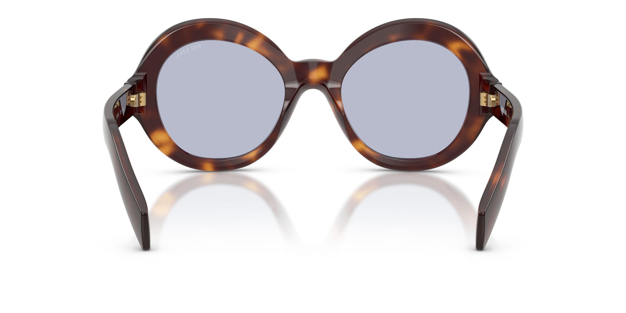 15W30X - Tortoise - Ultravioletta Bio