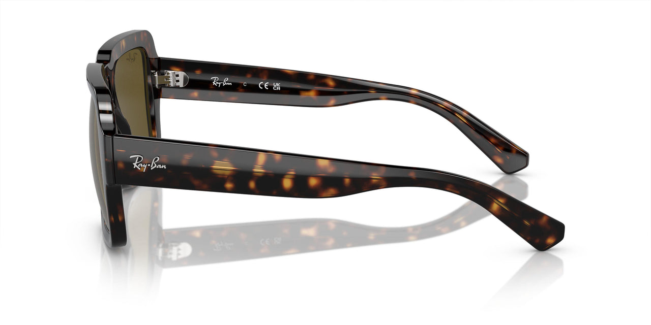 135973 - Tortoise - Dark Brown