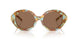 201773 - Tortoise - Dark Brown