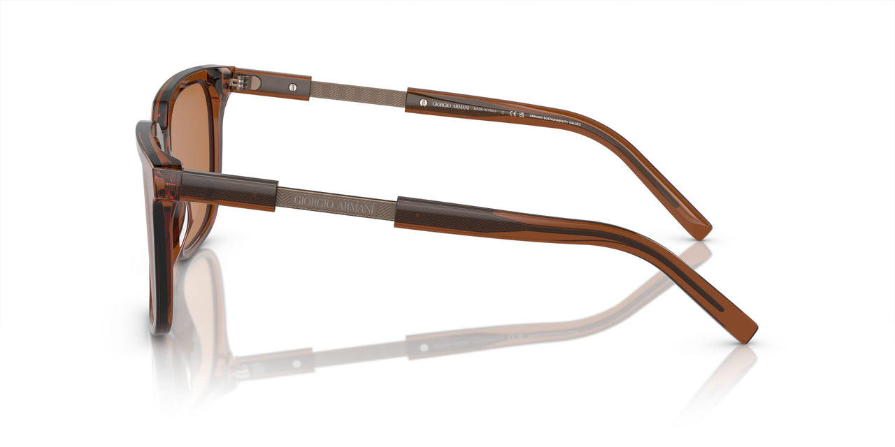 604973 - Brown - Brown