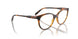 W656 - Brown