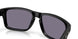 950902 - Black - Prizm Grey
