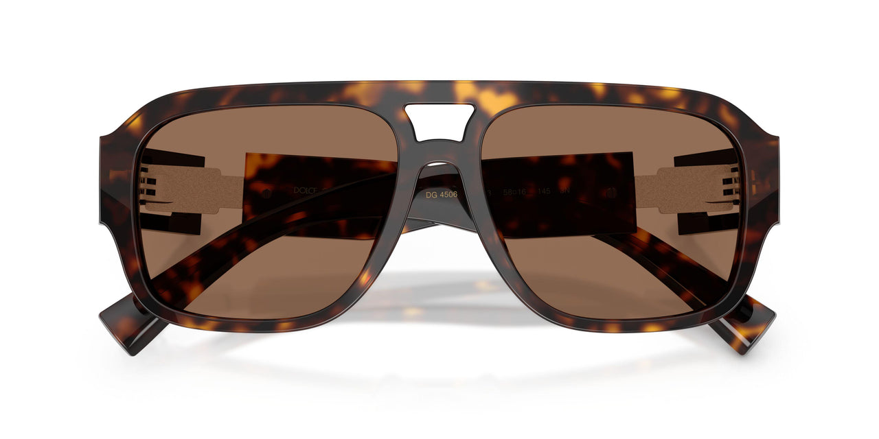 502/73 - Tortoise - Dark Brown