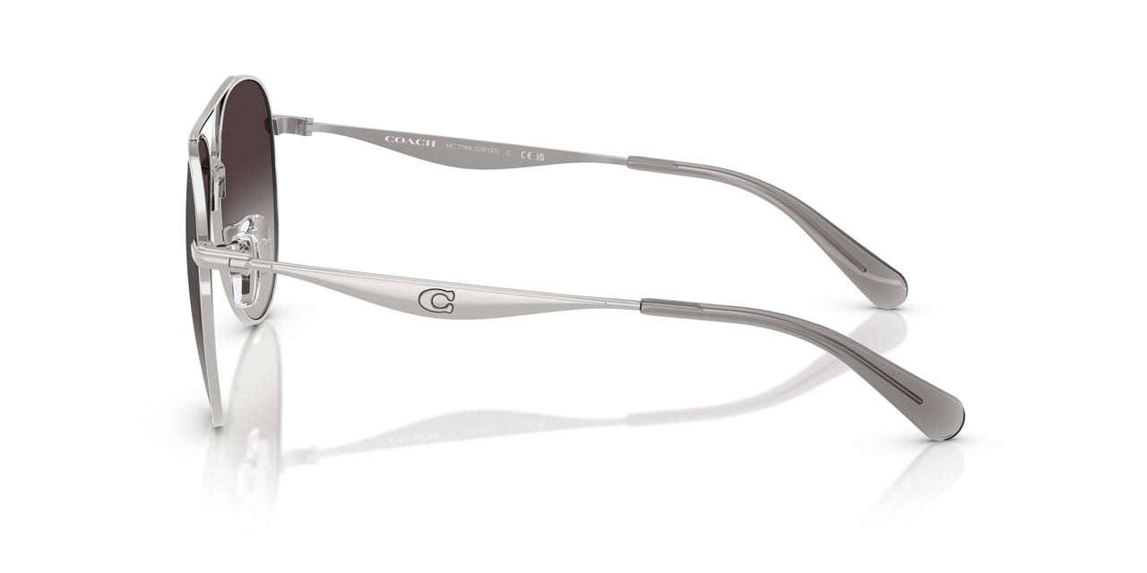 90013C - Silver - Grey Gradient