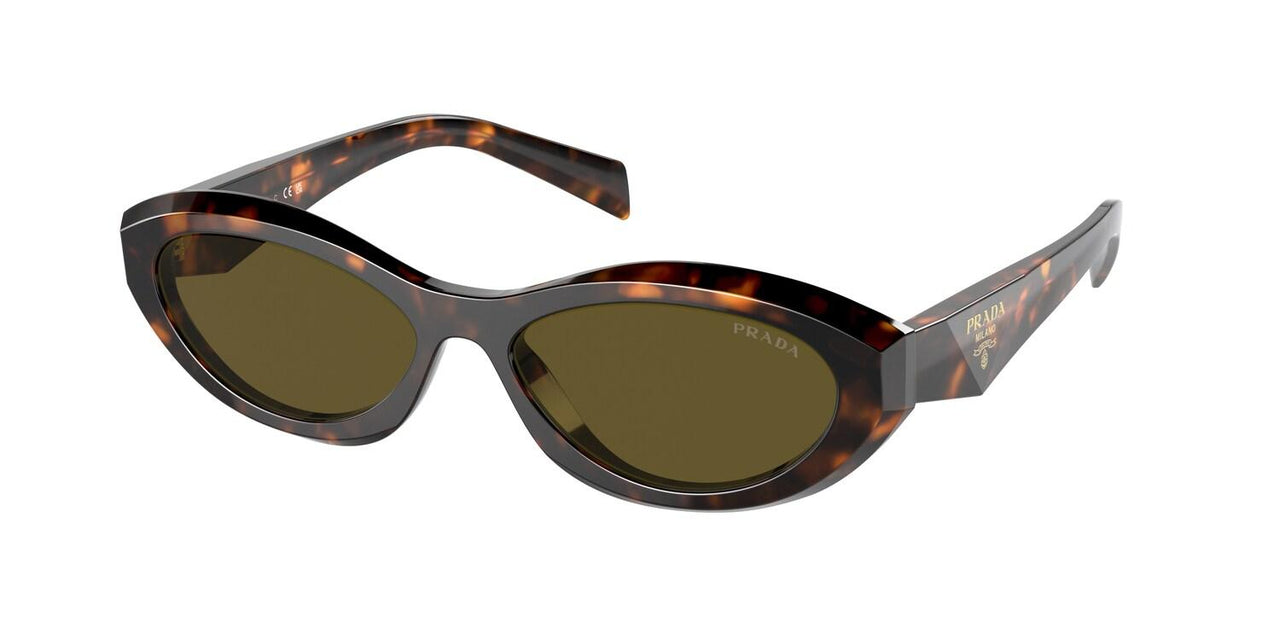 Chanel Black /Brown 5416 Cat-Eye Sunglasses Chanel