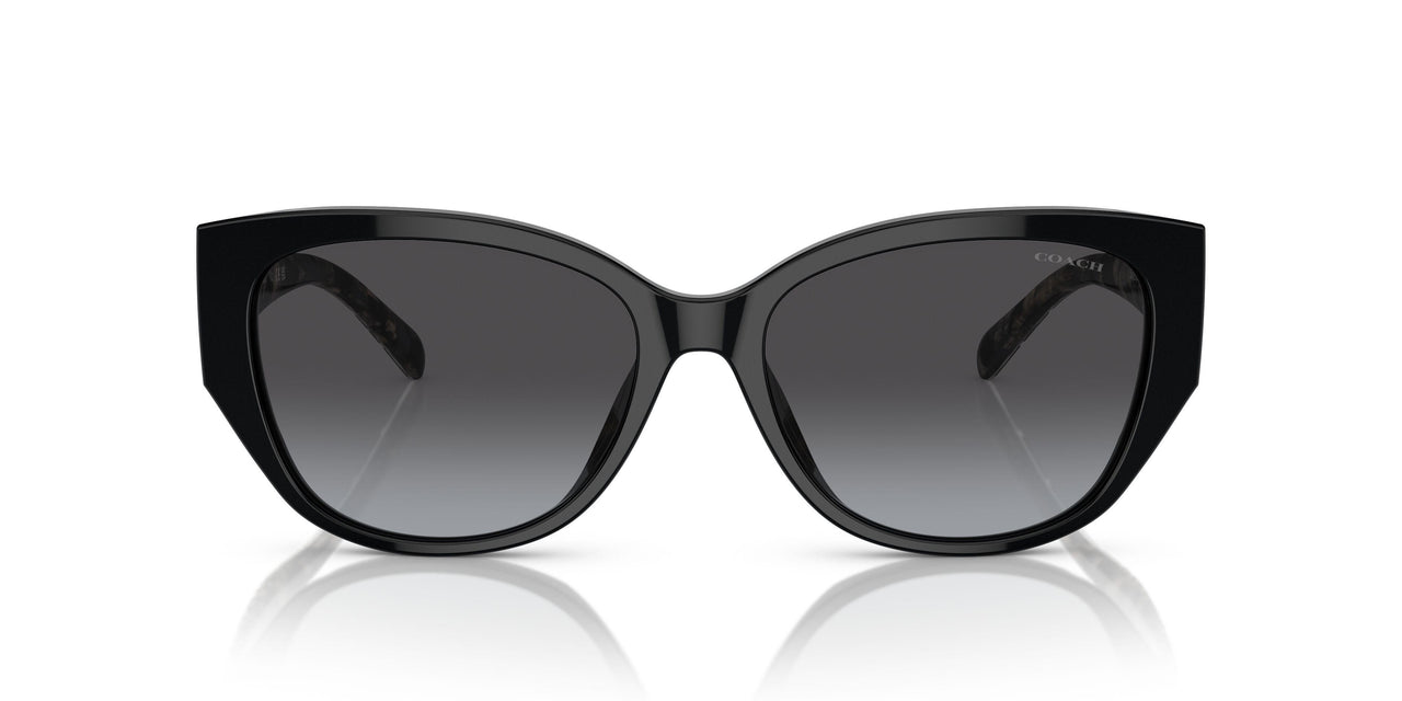 50028G - Black - Grey Gradient