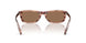 203673 - Brown - Dark Brown