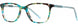 3 - Teal Tortoise