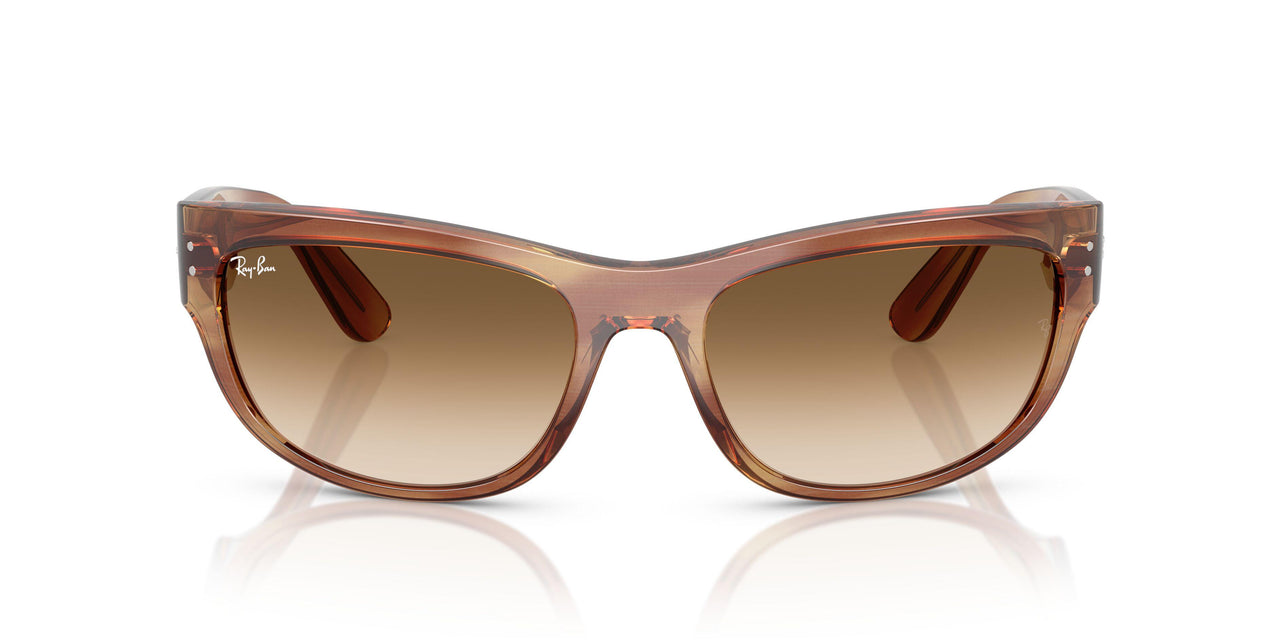 140351 - Tortoise - Clear Gradient Brown