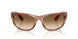 140351 - Tortoise - Clear Gradient Brown