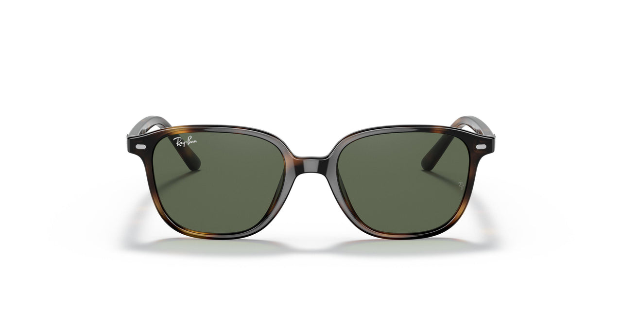 152/71 - Havana - Dark Green