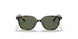 152/71 - Havana - Dark Green