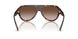 500213 - Tortoise - Gradient Brown