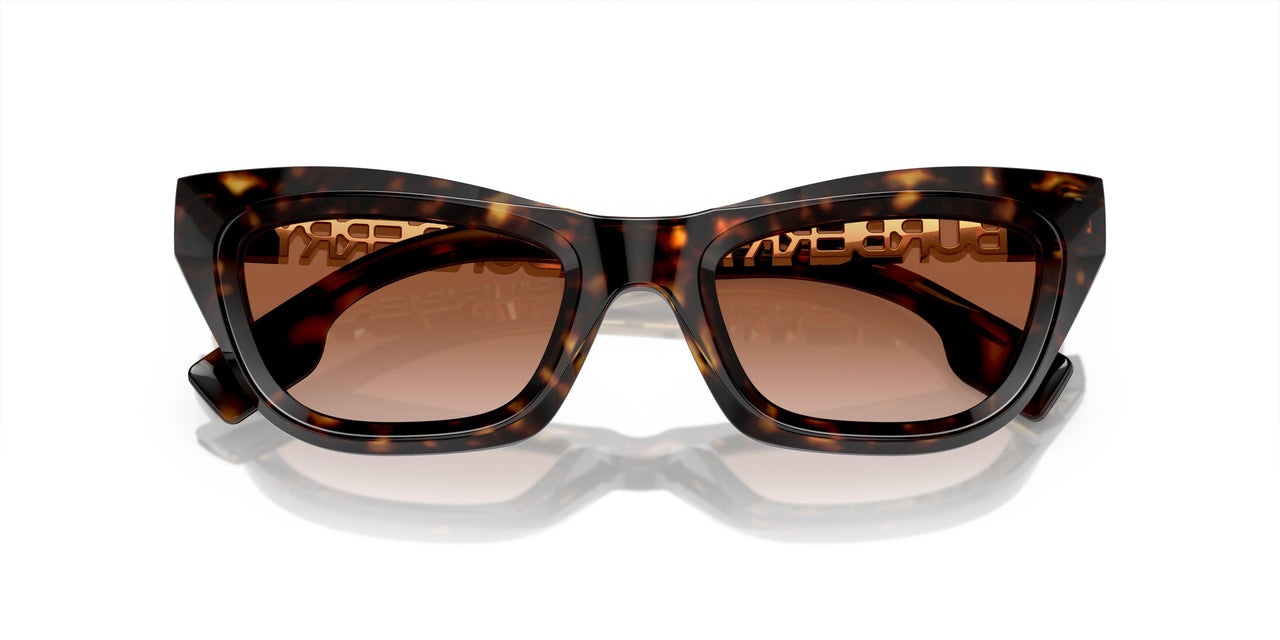 300213 - Brown - Brown Gradient