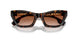 300213 - Brown - Brown Gradient