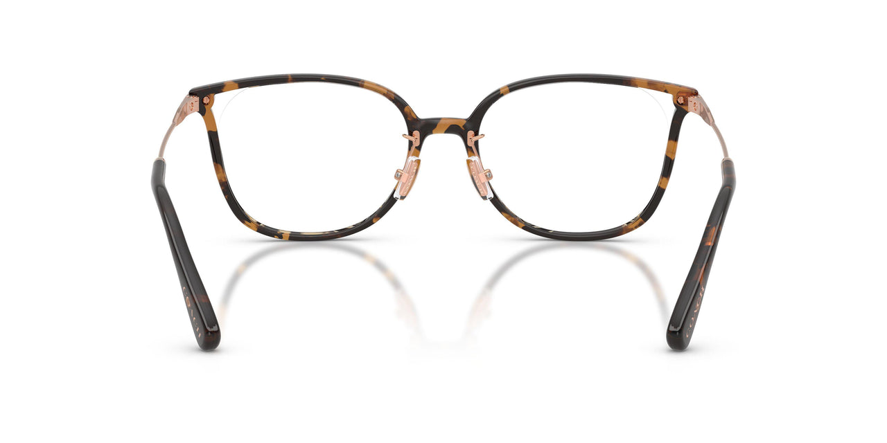 5120 - Tortoise