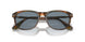 108/56 - Tortoise - Light Blue