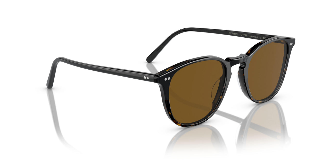 172283 - Black - Brown Polarized