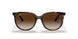 710/13 - Havana - Gradient Brown