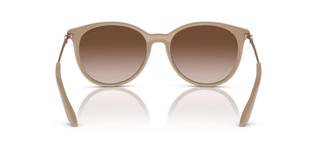 834213 - Brown - Gradient Brown
