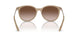834213 - Brown - Gradient Brown