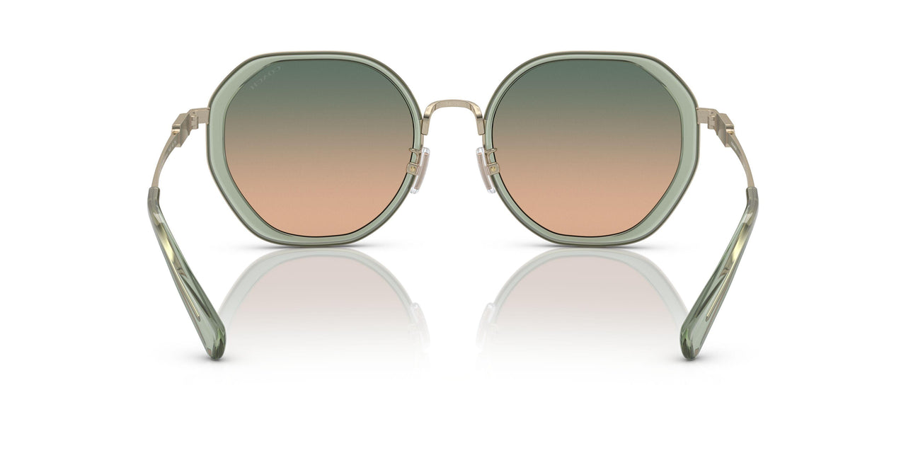 900513 - Green - Green Brown Gradient