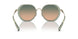 900513 - Green - Green Brown Gradient