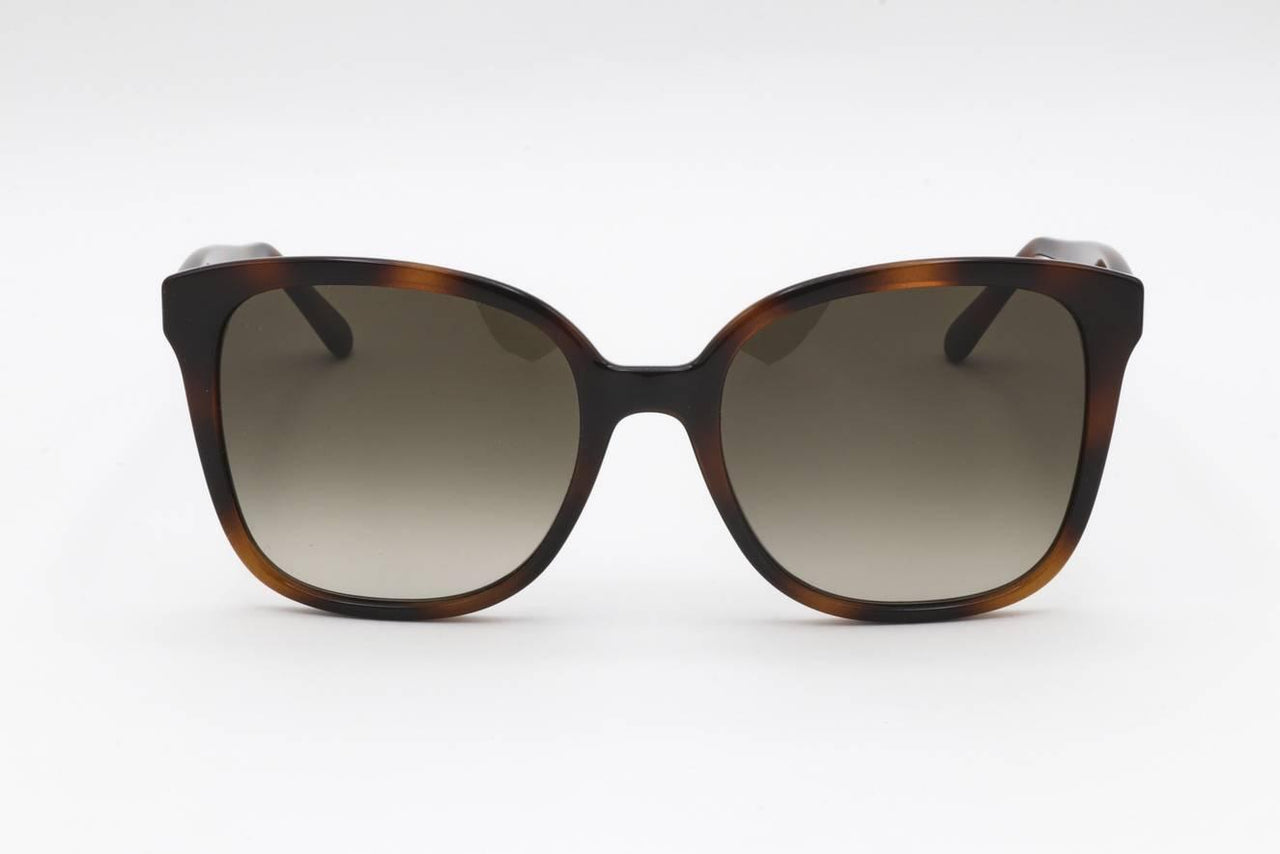 Salvatore Ferragamo SF1072S Sunglasses
