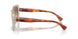 606113 - Brown - Gradient Brown