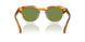 167452 - Honey - Green C