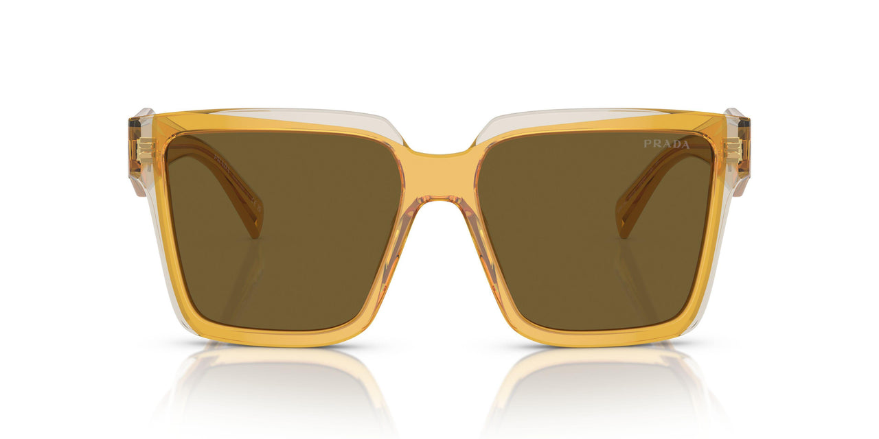 14I01T - Yellow - Dark Brown